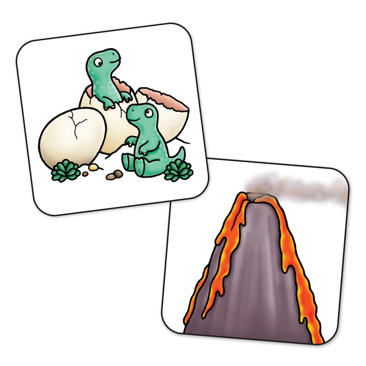 メモリー マッチング 恐竜をさがせ 教育 保育関係者向けサイトplayscape ボーネルンド