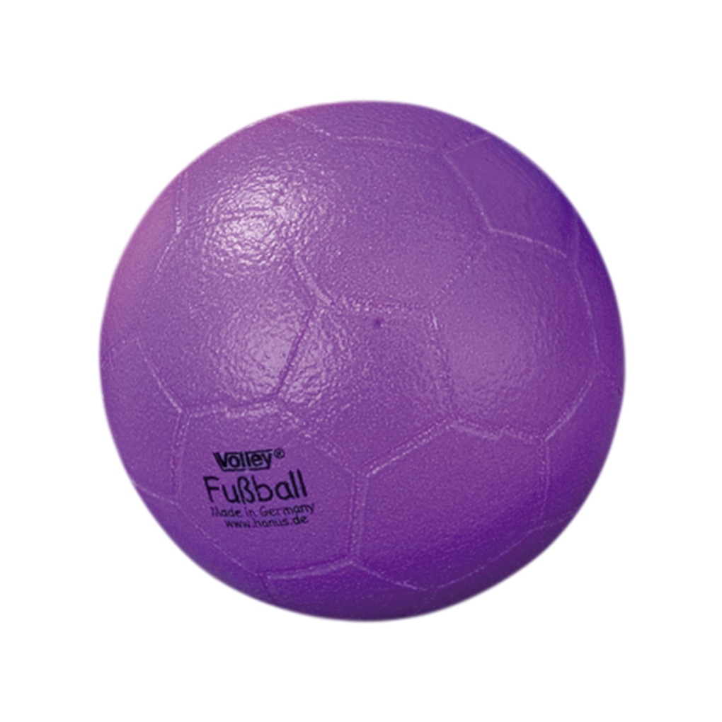 サッカーボールムラサキ 教育 保育関係者向けサイトplayscape ボーネルンド