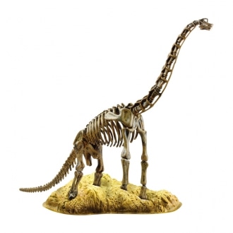 ブラキオサウルス 化石模型 48ｃｍ